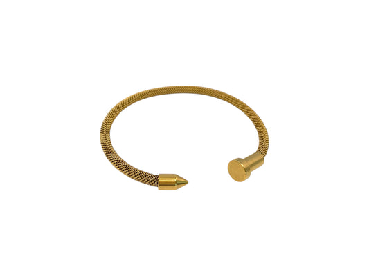 CIRCULUS RETICULATUS